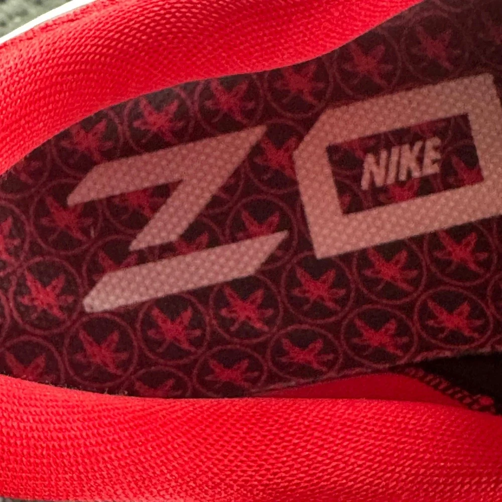 Nike Air Zoom Pegasus 38 Ohio State Buckeyes Mens 13 Black Red DJ0837-001